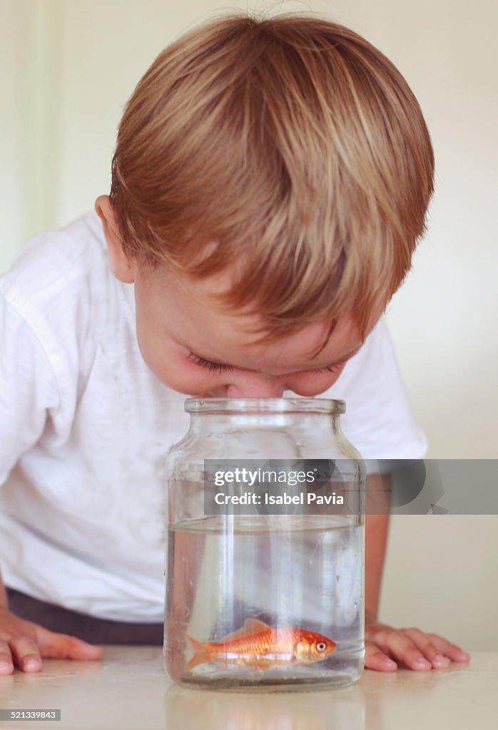 Boy with goldfish