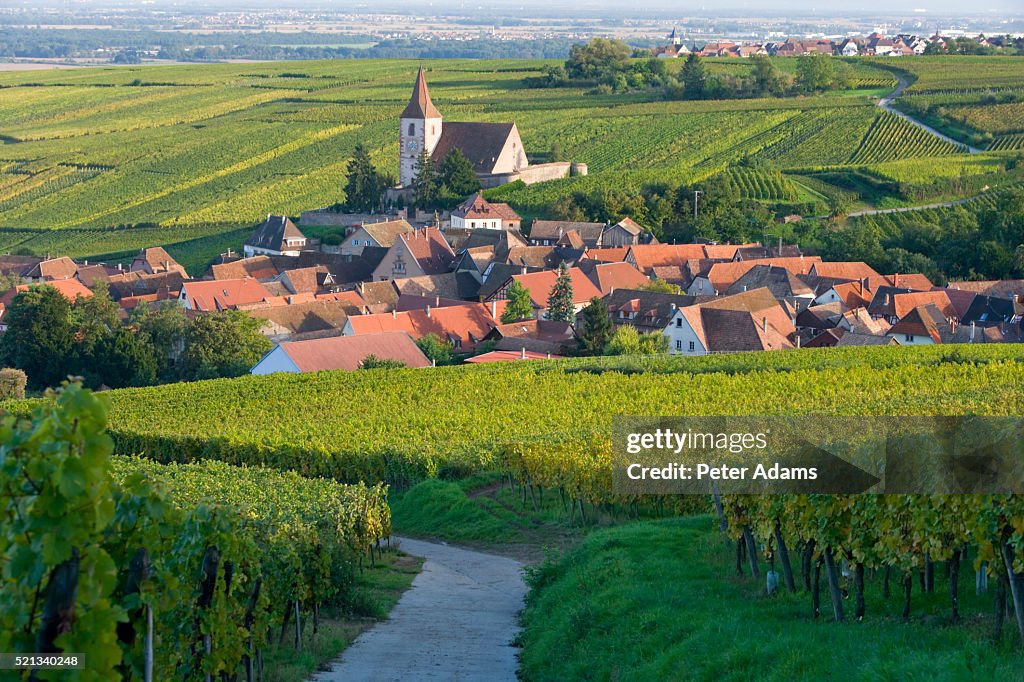 Hunawihr Village and Vineyards