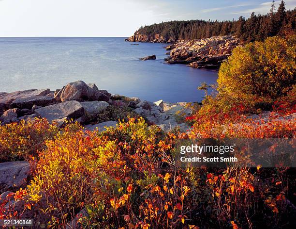 mount desert island - acadia national park stock pictures, royalty-free photos & images
