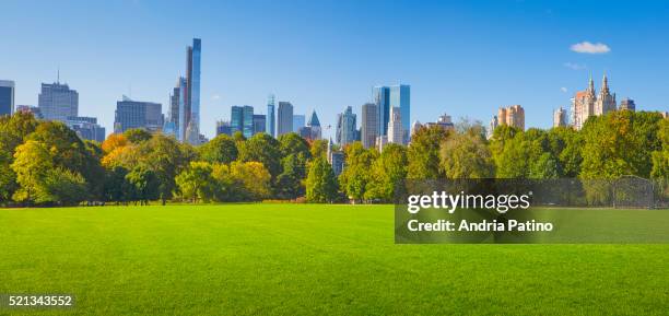 the great lawn - central park new york fotografías e imágenes de stock