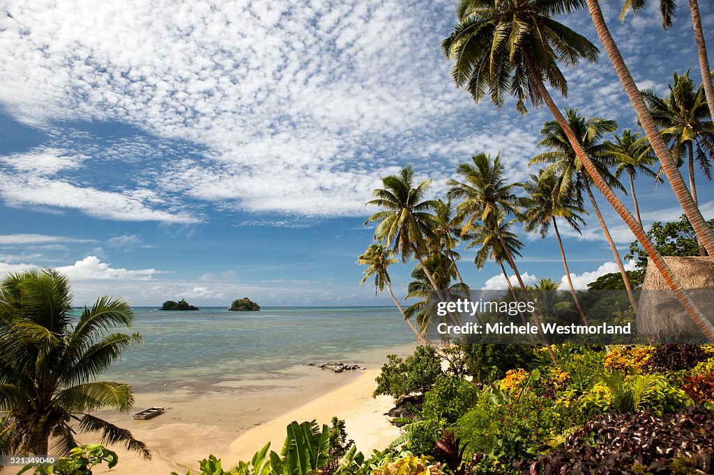 Scenic Shoreline of Taveuni, Fiji