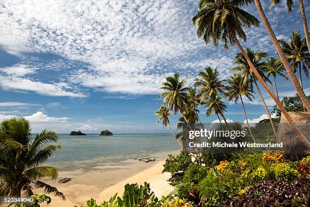 scenic shoreline of taveuni, fiji - fiji hut stock pictures, royalty-free photos & images