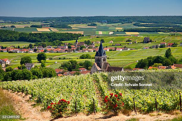 france, champagne, village of villedomange - campagne france stock pictures, royalty-free photos & images