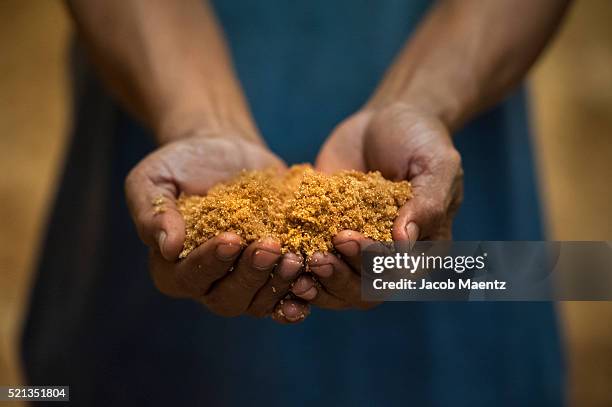 hands holding brown cane sugar - refinería de azúcar fotografías e imágenes de stock