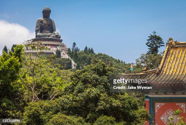 tian tan buddha on lantau island, hong kong. - großer buddha stock-fotos und bilder