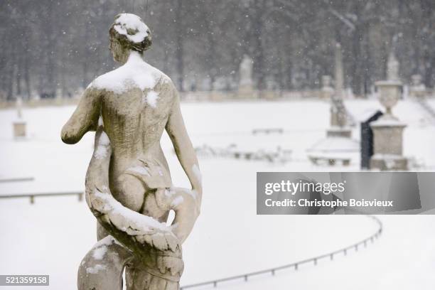 france, paris, luxembourg garden in winter, statue of venus - リュクサンブール公園 ストックフォトと画像