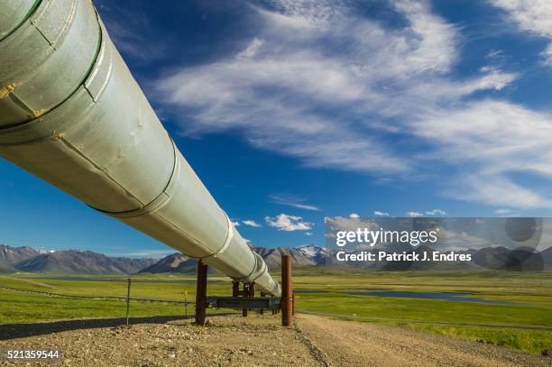 trans alaska oil pipeline, atigun canyon - oleodotto foto e immagini stock