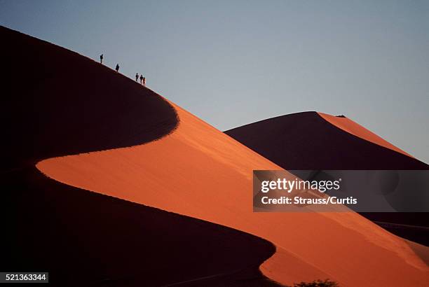 worlds highest sand dune in namibia - sossusvlei stock pictures, royalty-free photos & images