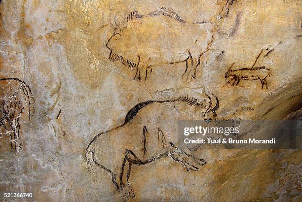 france, original painting in prehistoric cave of niaux - cave drawings stock pictures, royalty-free photos & images