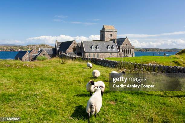 iona abbey on iona, off mull, scotland, uk. - schottisches hochland stock-fotos und bilder