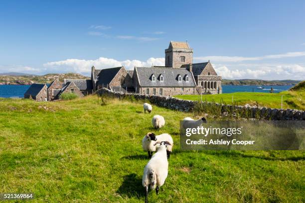 iona abbey on iona, off mull, scotland, uk. - schottland stock-fotos und bilder