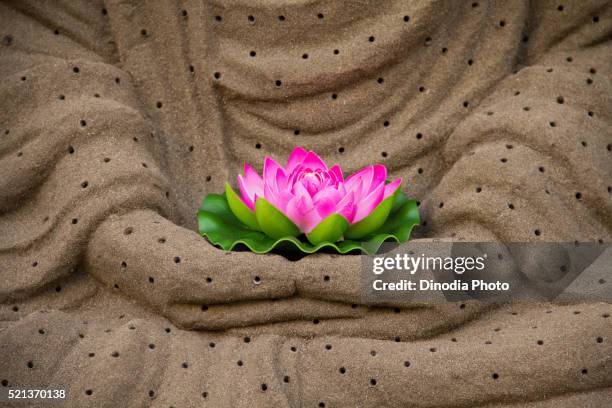 lotus flower in lord buddha hands, mumbai, maharashtra, india, asia - buddhism stock pictures, royalty-free photos & images