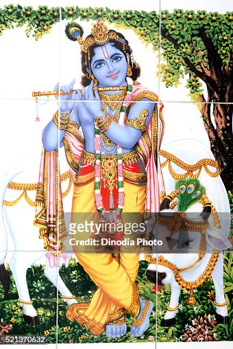 50 Krishna With Cow Photos and Premium High Res Pictures - Getty Images