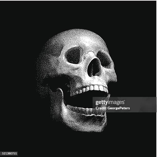 ilustraciones, imágenes clip art, dibujos animados e iconos de stock de mezzotinto ilustración de un sonriente de cráneo humano - cráneo humano