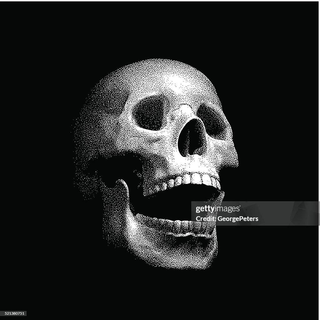 Mezzotint illustration of a Laughing Human Skull