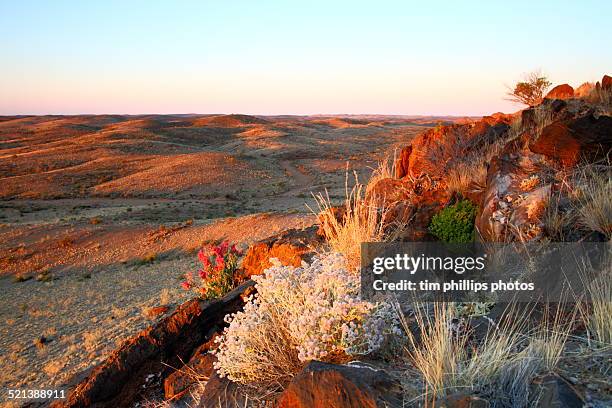 australian outback - leigh creek imagens e fotografias de stock