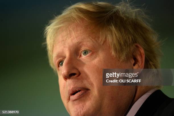 London Mayor and Conservative MP for Uxbridge and South Ruislip, Boris Johnson stands at a podium as he addresses campaigners during a rally for the...