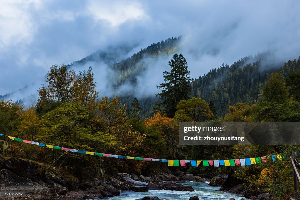 The Tibet autumn's scenery