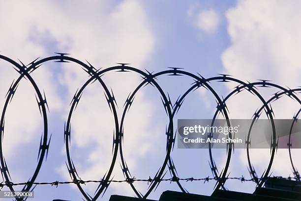 barbed wire - razor wire stock pictures, royalty-free photos & images