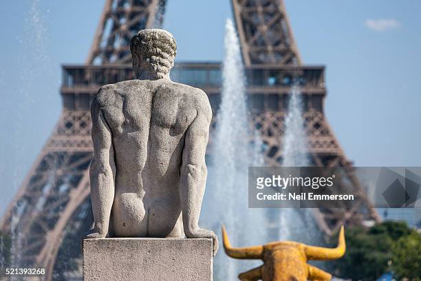 eiffel tower from trocadero in paris, france - statue paris stock pictures, royalty-free photos & images