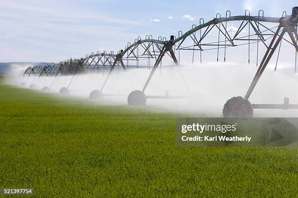 irrigation machines - sprinkler system ストックフォトと画像