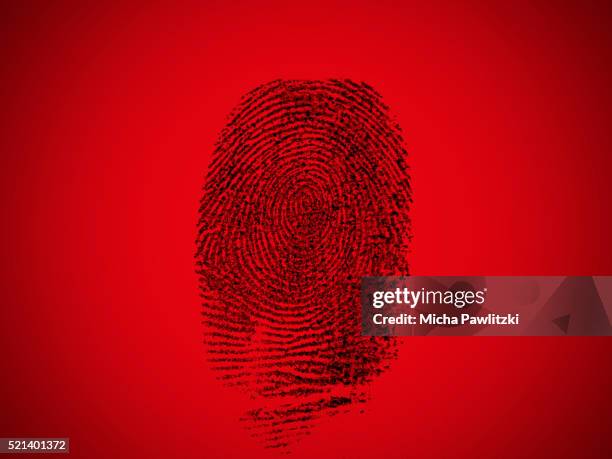 fingerprint made visible for forensic analysis - beleggen stock-fotos und bilder