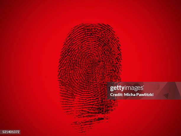 fingerprint made visible for forensic analysis - crimen fotografías e imágenes de stock