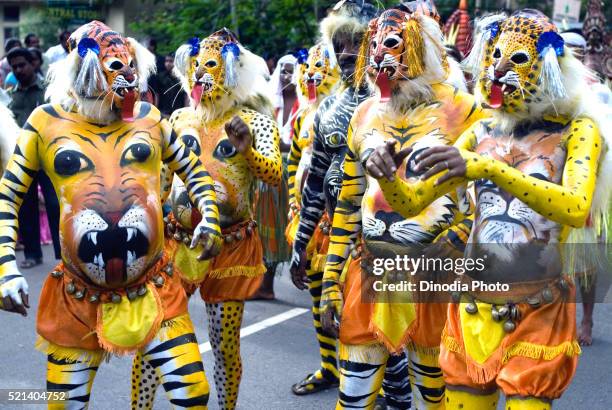 pulikali or tiger play performers painted bodies like tigers during onam celebration, trivandrum, kerala, india - pulikali stock pictures, royalty-free photos & images