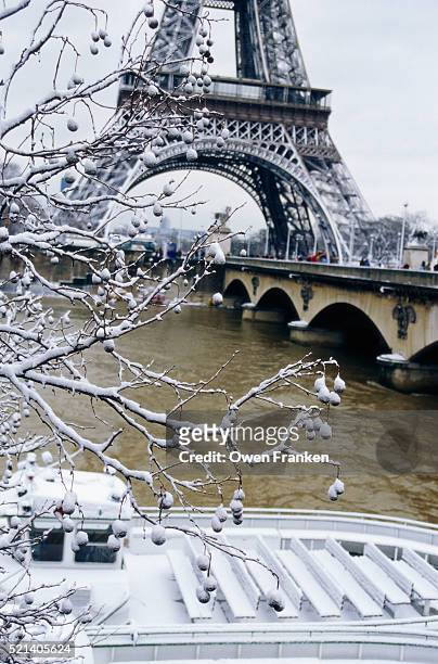 the seine and eiffel tower in the snow - trocadero on ice stock pictures, royalty-free photos & images