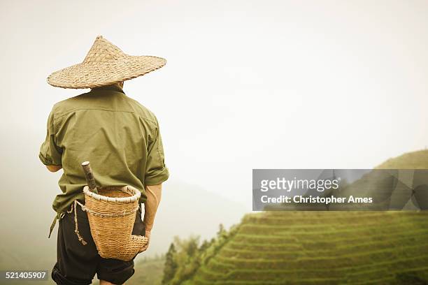 chinesische farmer dragons rücken reisterrassen - longsheng stock-fotos und bilder