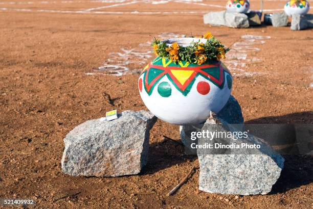pongal, kinathukkadavu near coimbatore, tamil nadu, india - tamil festival pongal stock pictures, royalty-free photos & images