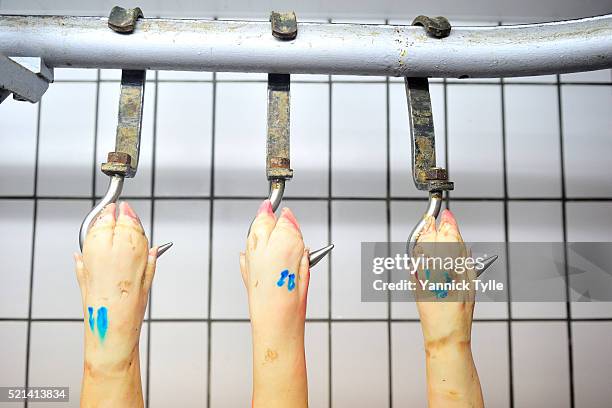 pigs hanging in the slaughter-house - abattoir stock pictures, royalty-free photos & images