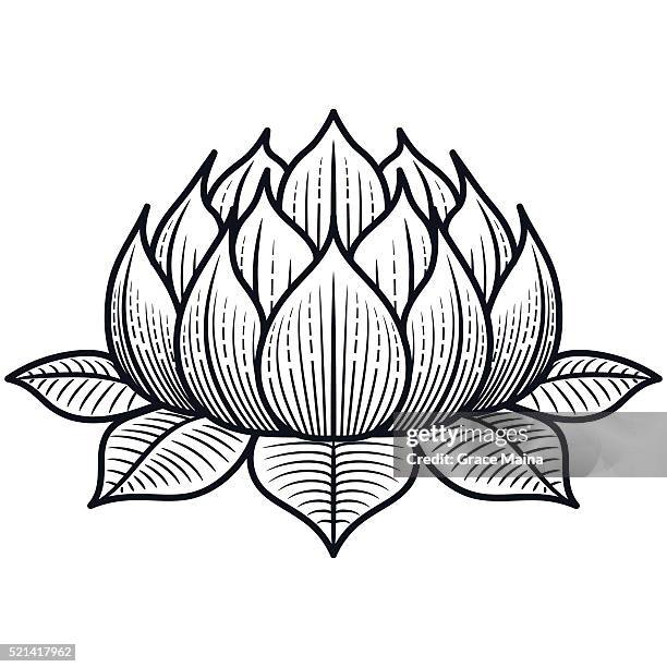illustrazioni stock, clip art, cartoni animati e icone di tendenza di fiore di loto vettoriale illustrazione-linea - fiore di loto