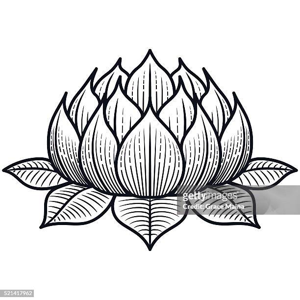 Lotus Flower Silhouette Illustration Vector High-Res Vector Graphic - Getty  Images