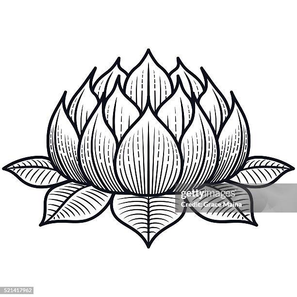 lotus flower silhouette illustration - vector - black and white flower tattoo designs stock illustrations