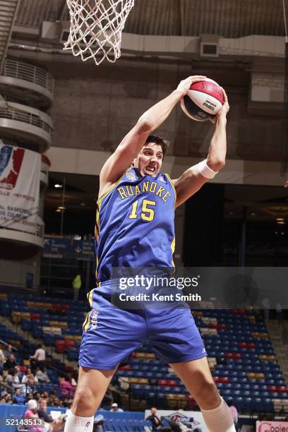 Kevin Owens of the Roanoke Dazzle brings down the rebound against the Fayetteville Patriots during the game on February 5, 2005 at the Crown Coliseum...