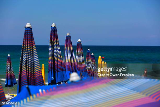 parasols on beach near vieste-puglia-italy - vieste bildbanksfoton och bilder