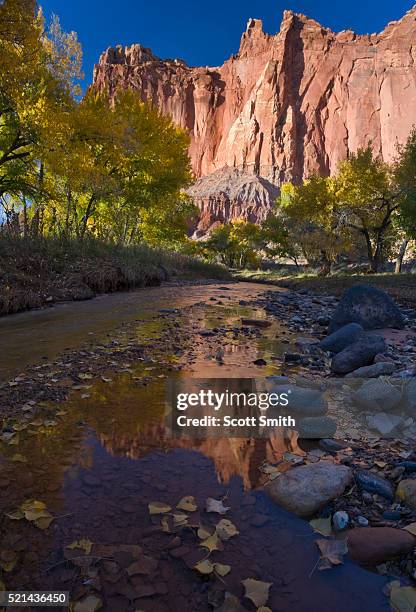 capitol reef national park, utah. usa. - capitol reef national park fotografías e imágenes de stock