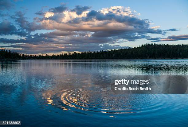 ripples in blind lake. boulder mountain. utah. usa. - nordhalbkugel stock-fotos und bilder