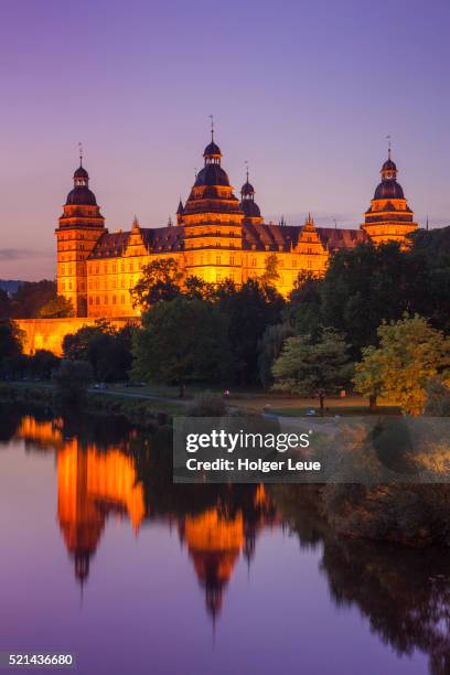 schloss johannisburg palace and parklands along main river at dusk - aschaffenburg schloss johannisburg ストックフォトと画像