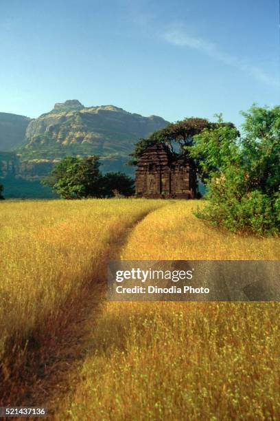 path to khereshwar temple, malshej ghat, maharashtra, india, asia - malshej ghat stock-fotos und bilder