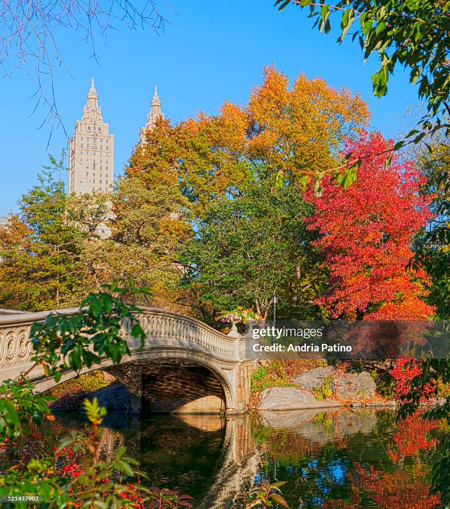 Autumn in Central Park