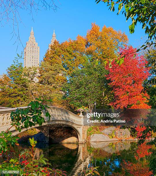 autumn in central park - central park 個照片及圖片檔