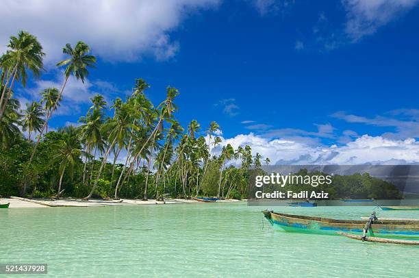 coconut palm groove and boat on tropical beach - archipelago stock pictures, royalty-free photos & images