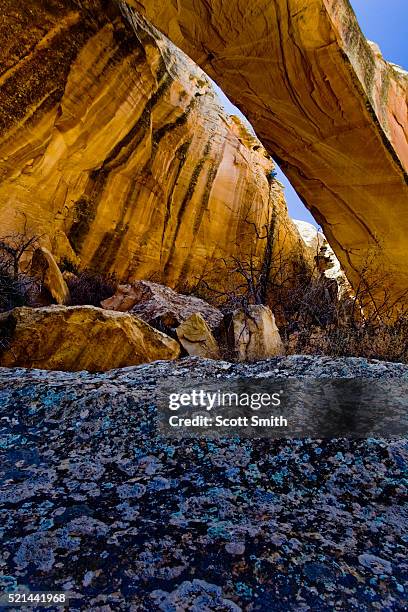 capitol reef national park, utah. usa. - utah arch stock pictures, royalty-free photos & images
