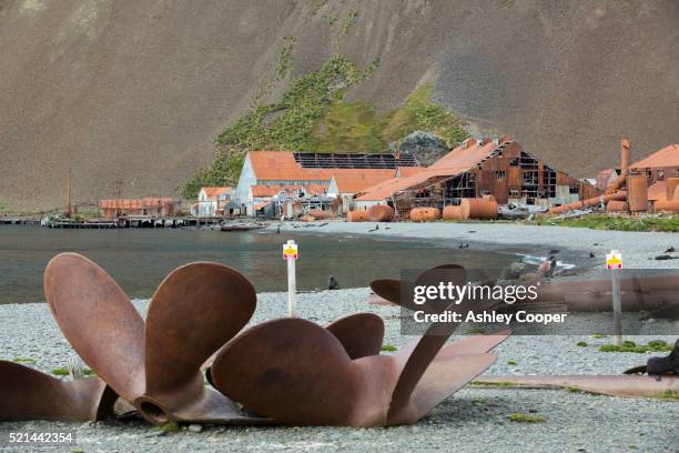 stromness whaling station on south georgia, it was operational until 1961, - whaling stock pictures, royalty-free photos & images