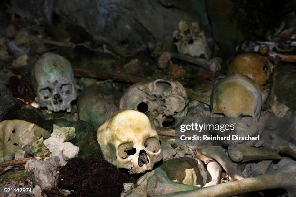 old skulls hidden in rock islands near malwawa, indonesia - cannibalism - fotografias e filmes do acervo