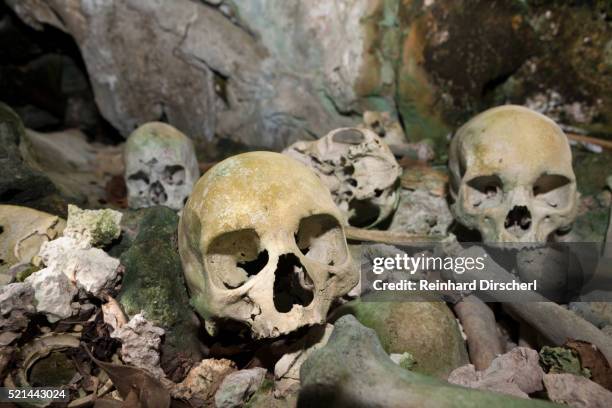 old skulls hidden in rock islands near malwawa, indonesia - cannibalism stock-fotos und bilder