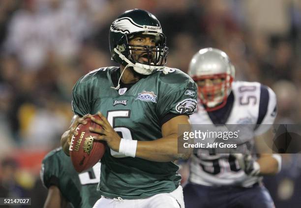 Quarterback Donovan McNabb of the Philadelphia Eagles drops back for a pass against the defense of the New England Patriots trys to stop him during...