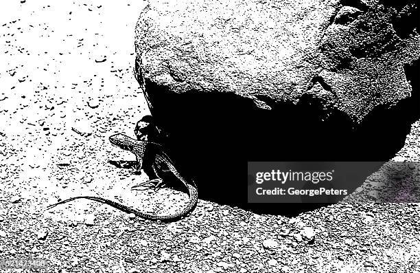 lizard. arches national park, utah, usa - sandstone stock illustrations